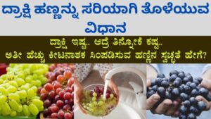 ದ್ರಾಕ್ಷಿ ಹಣ್ಣನ್ನು ಸರಿಯಾಗಿ ತೊಳೆಯುವ ವಿಧಾನ ಮತ್ತು ಆರೋಗ್ಯ ಉಪಯೋಗಗಳು